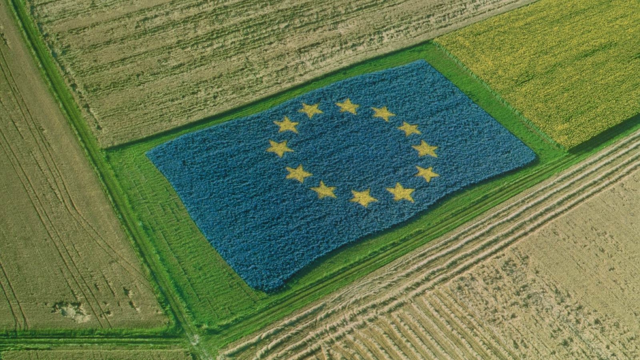 Steagul Uniunii Europene format dintr-o parcelă agricolă, văzut din aer