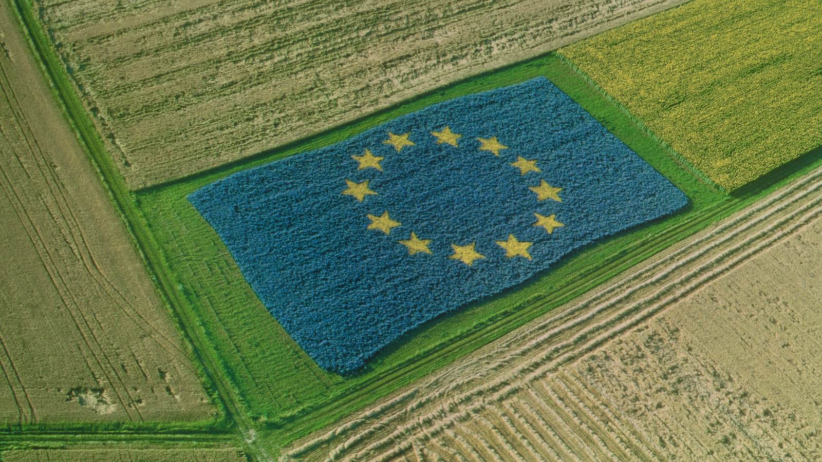 Steagul Uniunii Europene format dintr-o parcelă agricolă, văzut din aer